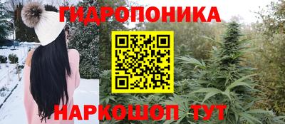 гашик Лесосибирск